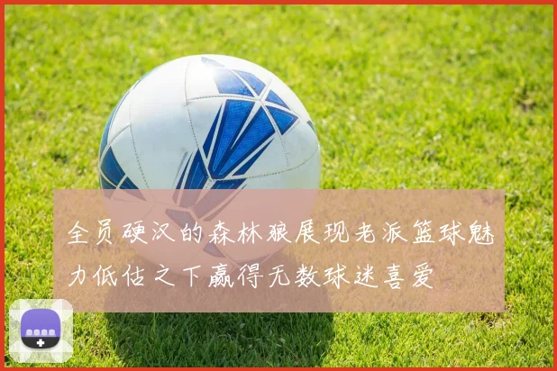 全员硬汉的森林狼展现老派篮球魅力低估之下赢得无数球迷喜爱
